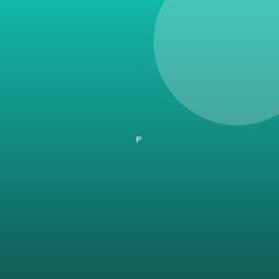 Pocket
