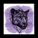 Affinity Photo