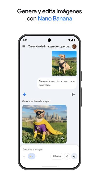 Gemini: captura de pantalla 1 en Android