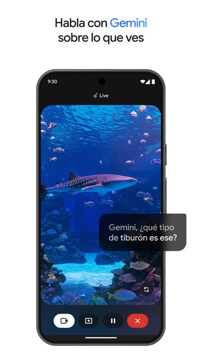 Gemini screenshot