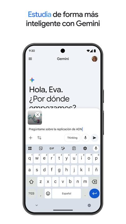 Gemini screenshot