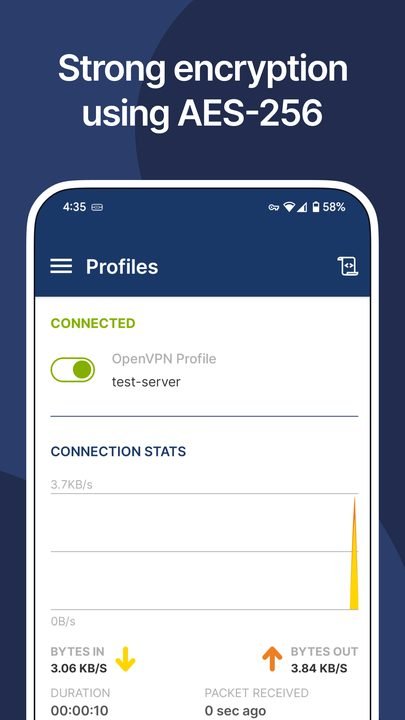 OpenVPN screenshot