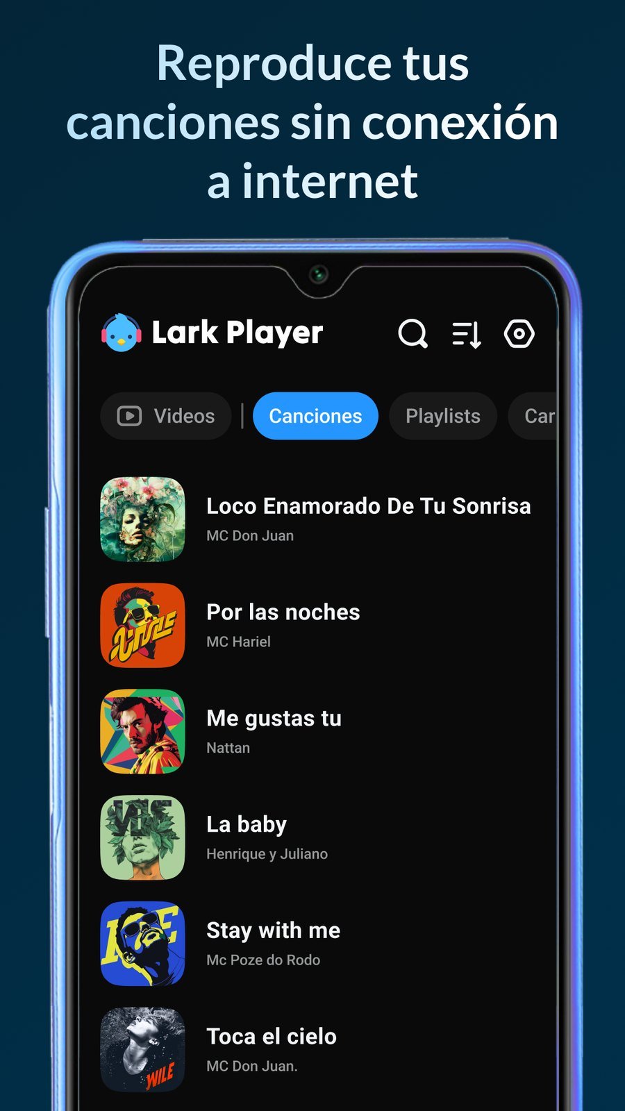 Lark Player: Reproductor de Música screenshot