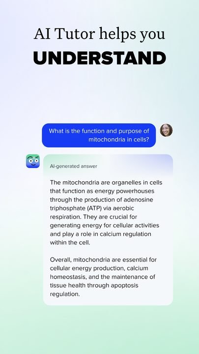 Brainly: captura de pantalla 3 de la app