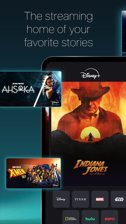 Disney+ Hotstar: captura de pantalla 2 de la app