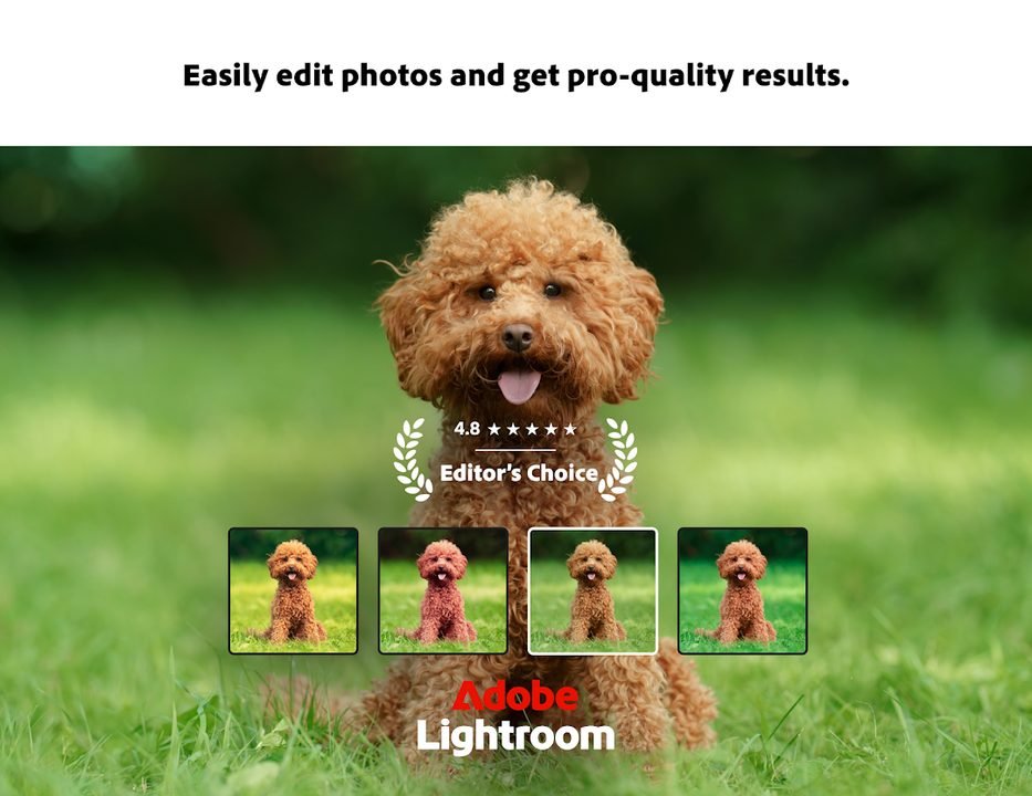 Lightroom MOD: captura de pantalla 2 de la app