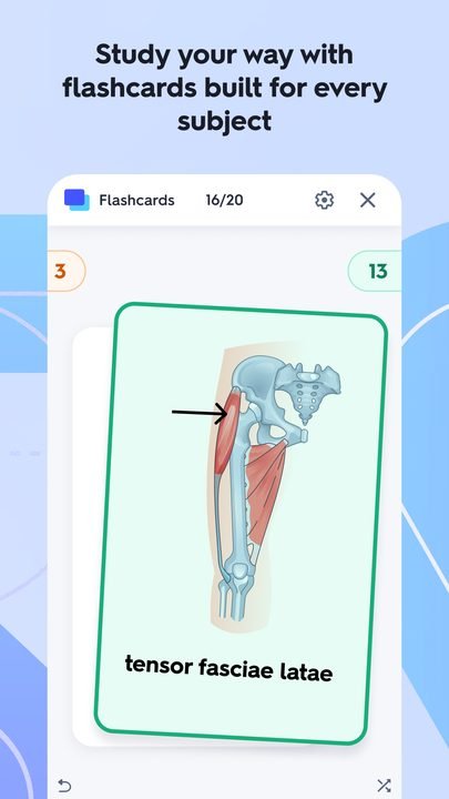 Quizlet: captura de pantalla 3 de la app