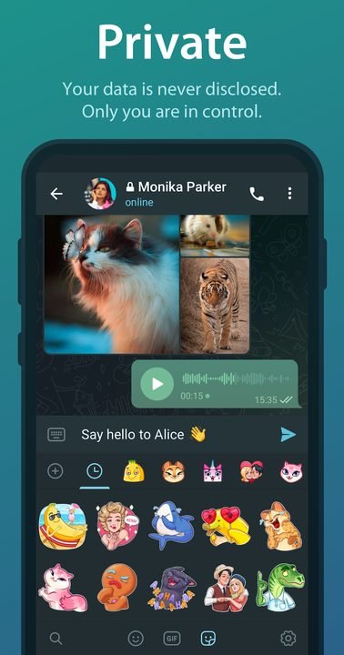 Telegram: captura de pantalla 5 de la app