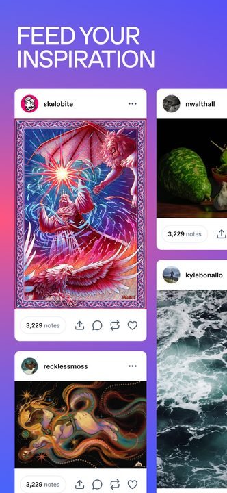 Tumblr: captura de pantalla 5 de la app